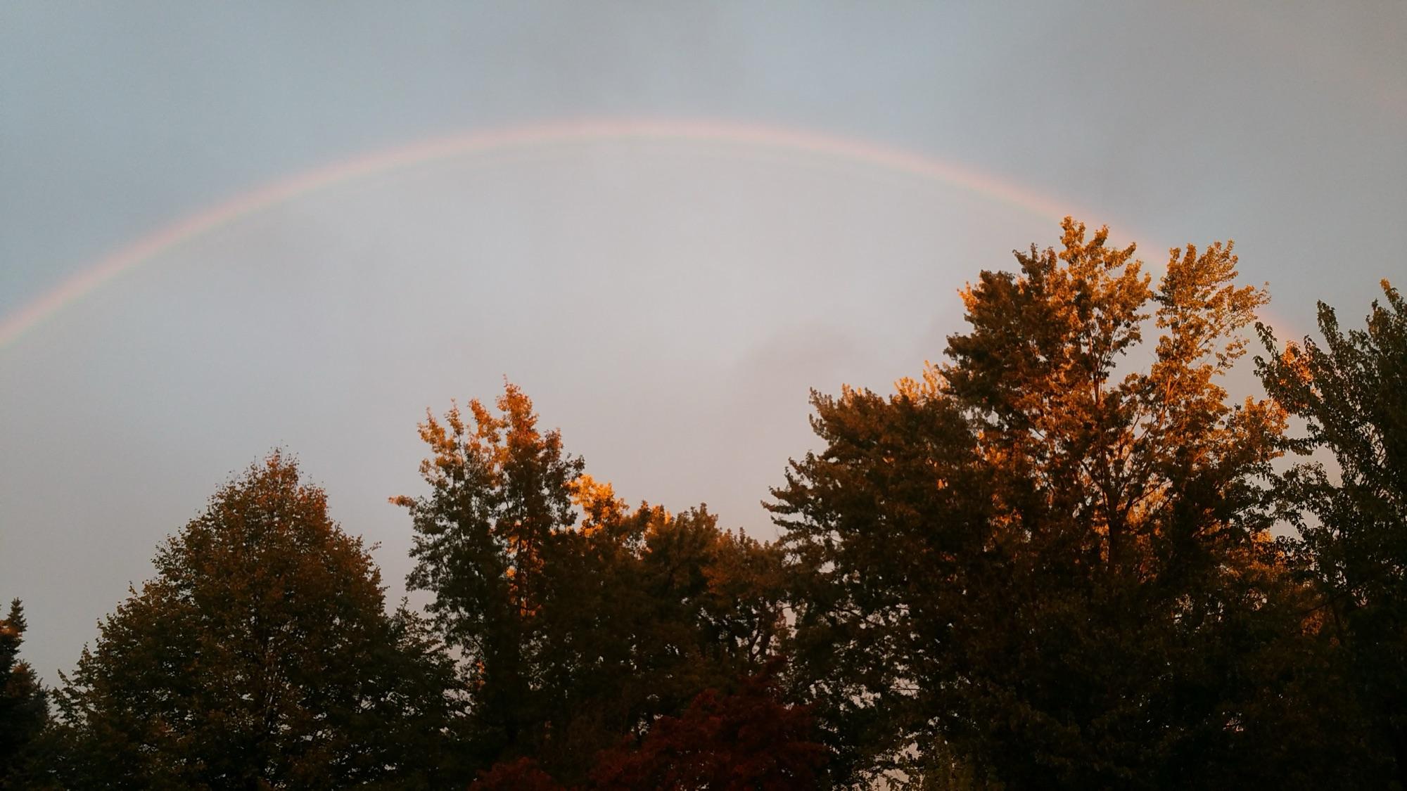 Fall in Walla Walla: Your Guide to Autumn Events
