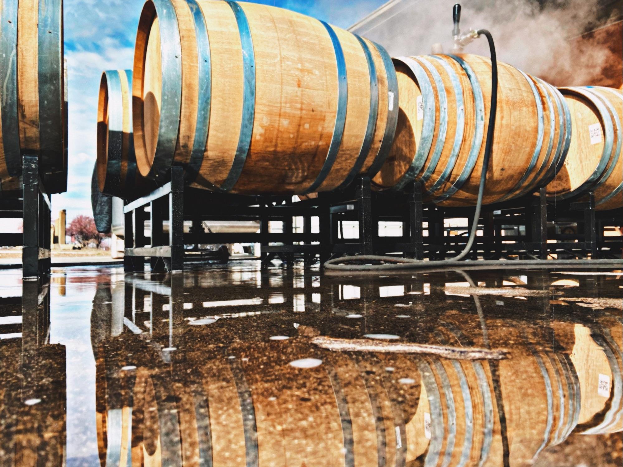 Harvest 2026: What to Expect from This Year's Vintage