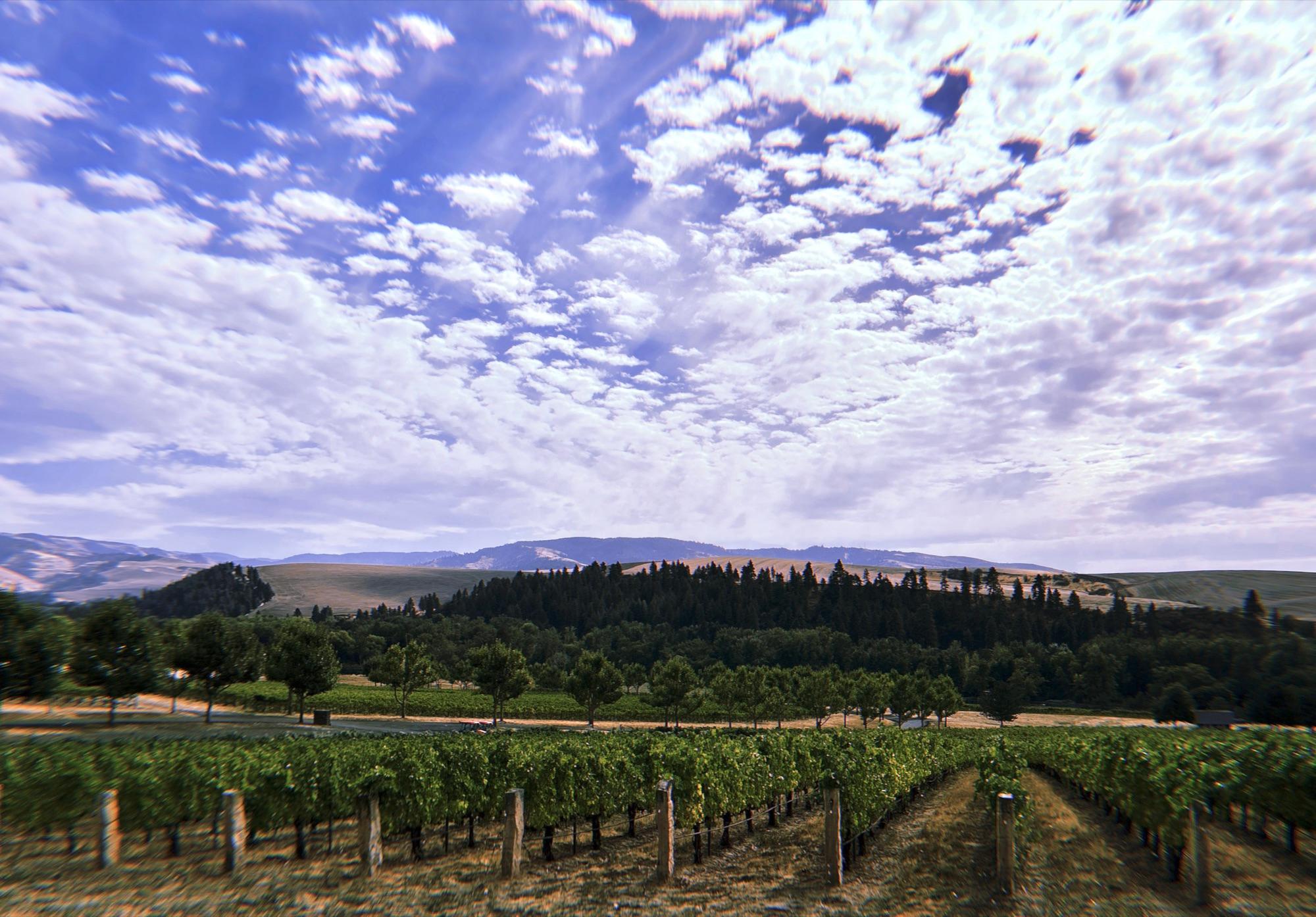Wine Through Time: The Evolution of Walla Walla's Vineyards