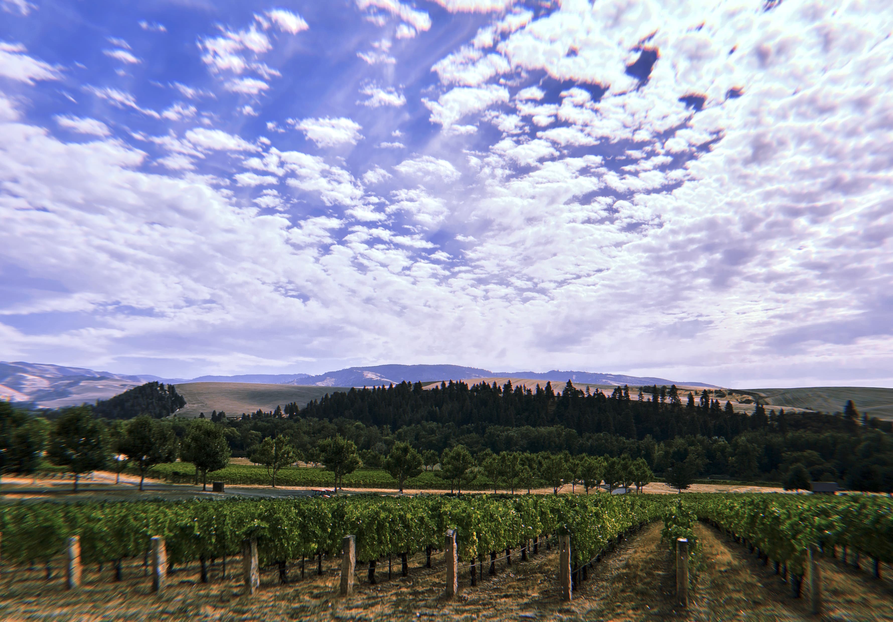 Figgins Vineyards Figgins Vineyards